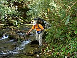 2014 Fall Backpacking Smoky Mnt Russell Field Spence Field Loop