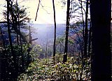 1996 Spring - Sheltowee Trace, Pickett State Park to Peters Mtn.