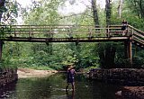 2000 Spring Big South Fork Bandi Creek to Angel Falls Overlook to Duncan Hollow Trail