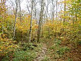 2014 Fall Backpacking Smoky Mnt Russell Field Spence Field Loop
