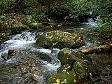 2014 Fall Backpacking Smoky Mnt Russell Field Spence Field Loop