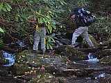 2014 Fall Backpacking Smoky Mnt Russell Field Spence Field Loop