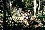 2000 Fall Big South Fork Peters Mnt to KY Trail to Leadbetter Trail to Blue Heron