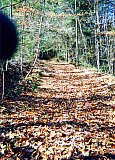 1996 Spring - Sheltowee Trace, Pickett State Park to Peters Mtn.