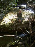 2014 Fall Backpacking Smoky Mnt Russell Field Spence Field Loop
