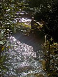 2014 Fall Backpacking Smoky Mnt Russell Field Spence Field Loop