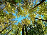 2014 Fall Backpacking Smoky Mnt Russell Field Spence Field Loop