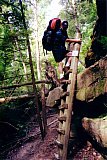 2000 Spring Big South Fork Bandi Creek to Angel Falls Overlook to Duncan Hollow Trail
