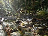2014 Fall Backpacking Smoky Mnt Russell Field Spence Field Loop