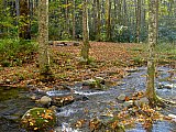 2014 Fall Backpacking Smoky Mnt Russell Field Spence Field Loop