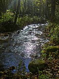 2014 Fall Backpacking Smoky Mnt Russell Field Spence Field Loop