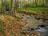 2014 Fall Backpacking Smoky Mnt Russell Field Spence Field Loop