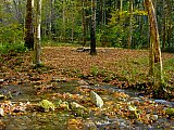2014 Fall Backpacking Smoky Mnt Russell Field Spence Field Loop