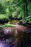 2000 Spring Big South Fork Bandi Creek to Angel Falls Overlook to Duncan Hollow Trail
