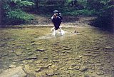 2000 Spring Big South Fork Bandi Creek to Angel Falls Overlook to Duncan Hollow Trail