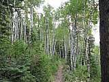 2013 Summer Colorado Continental Divide