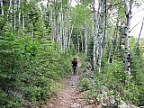 2013 Summer Colorado Continental Divide