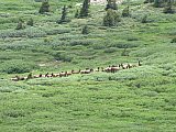 2013 Summer Colorado Continental Divide