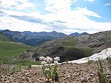 2013 Summer Colorado Continental Divide