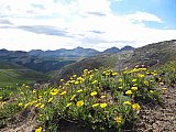 2013 Summer Colorado Continental Divide