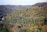 2000 Fall Big South Fork Peters Mnt to KY Trail to Leadbetter Trail to Blue Heron