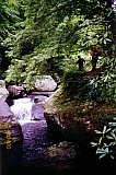 2000 Spring Big South Fork Bandi Creek to Angel Falls Overlook to Duncan Hollow Trail
