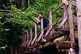 2000 Spring Big South Fork Bandi Creek to Angel Falls Overlook to Duncan Hollow Trail