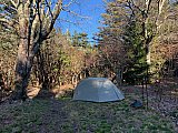 54 25 0616 - 2021 Spring Backpacking Middle Prong Wilderness NC
