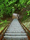 2004 Spring Big South Fork John Muir Trial to Honey Creek Road