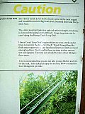 2004 Spring Big South Fork John Muir Trial to Honey Creek Road