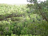 2014 Spring Backpacking Savage Gulf TN
