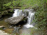 2014 Spring Backpacking Savage Gulf TN