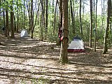 2014 Spring Backpacking Savage Gulf TN