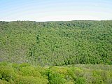 2014 Spring Backpacking Savage Gulf TN