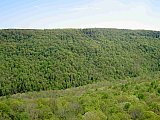 2014 Spring Backpacking Savage Gulf TN
