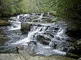 2014 Spring Backpacking Savage Gulf TN
