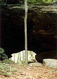 1996 Spring Shelltowee Trace Pickett State Park to Peters Mtn