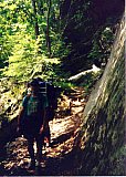 1996 Fall - Sheltowee Trace, Peters Mtn. to Yahoo Falls